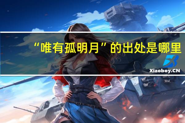 “唯有孤明月”的出处是哪里