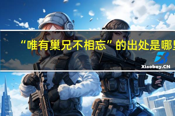 “唯有巢兄不相忘”的出处是哪里