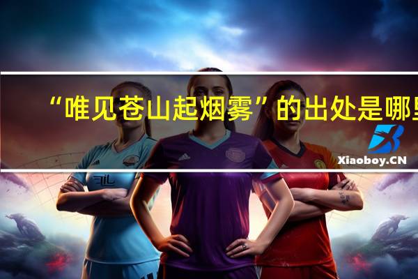“唯见苍山起烟雾”的出处是哪里