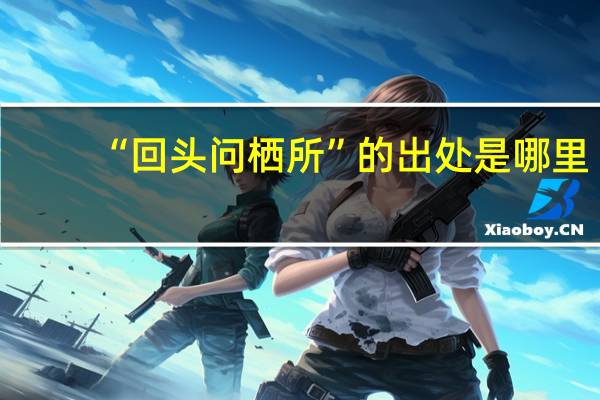 “回头问栖所”的出处是哪里