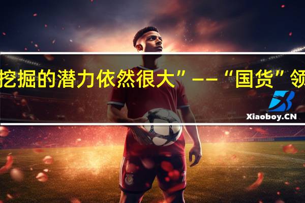 “国内市场可挖掘的潜力依然很大”——“国货”领军企业发展启示录