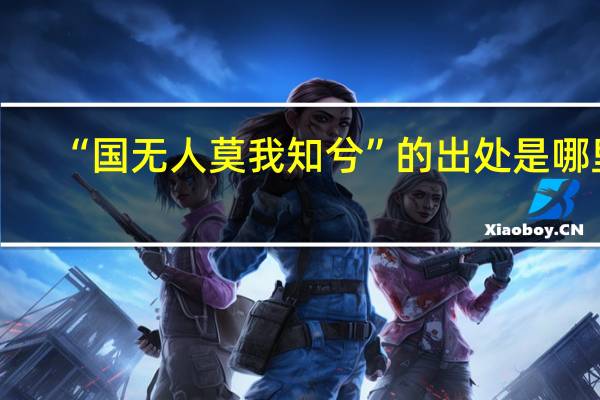 “国无人莫我知兮”的出处是哪里