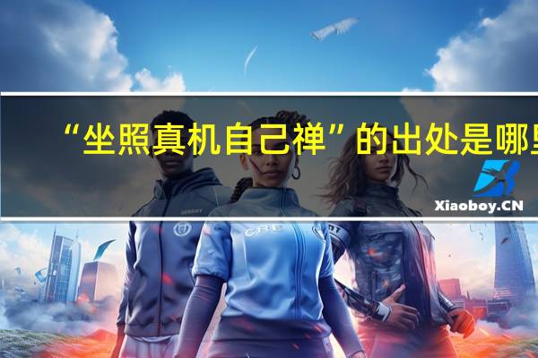 “坐照真机自己禅”的出处是哪里