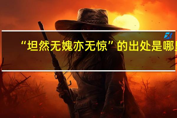 “坦然无媿亦无惊”的出处是哪里