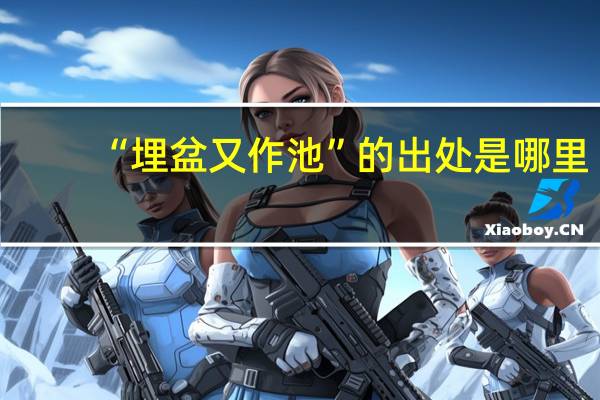 “埋盆又作池”的出处是哪里
