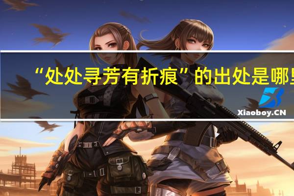 “处处寻芳有折痕”的出处是哪里