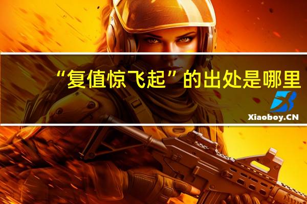 “复值惊飞起”的出处是哪里