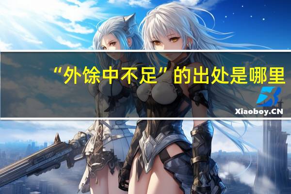 “外馀中不足”的出处是哪里