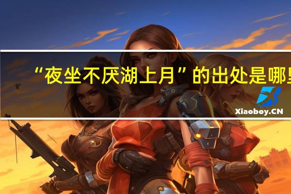 “夜坐不厌湖上月”的出处是哪里