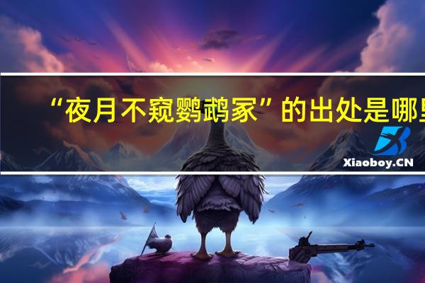 “夜月不窥鹦鹉冢”的出处是哪里