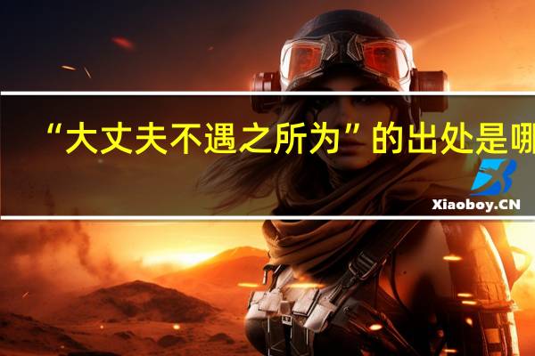 “大丈夫不遇之所为”的出处是哪里