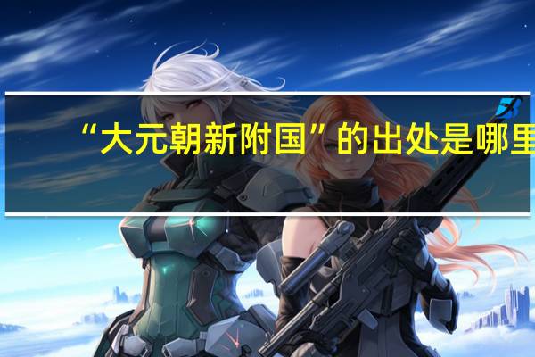 “大元朝新附国”的出处是哪里