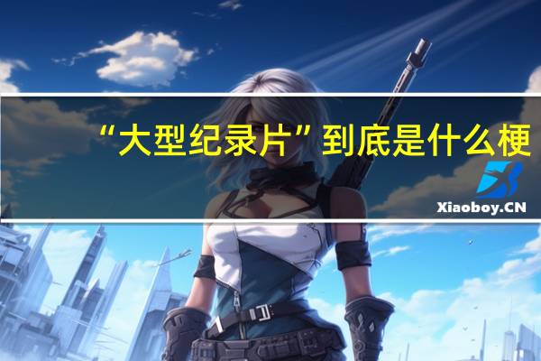 “大型纪录片”到底是什么梗