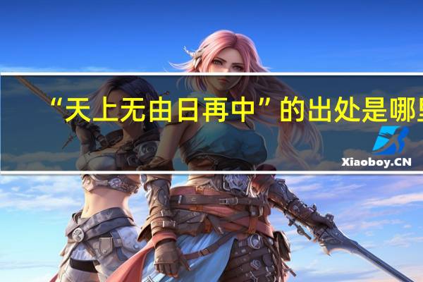 “天上无由日再中”的出处是哪里