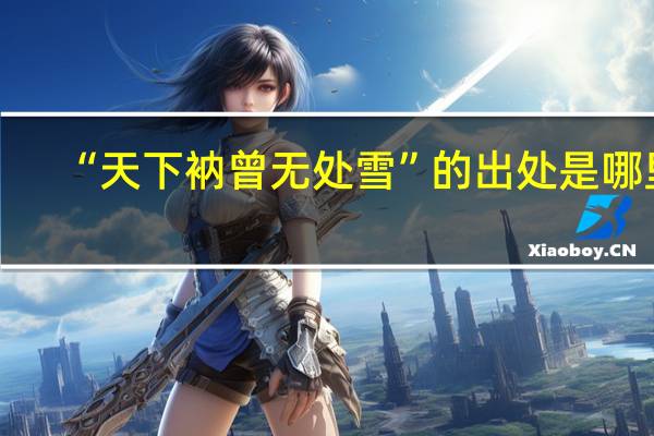 “天下衲曾无处雪”的出处是哪里
