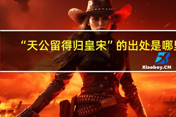 “天公留得归皇宋”的出处是哪里