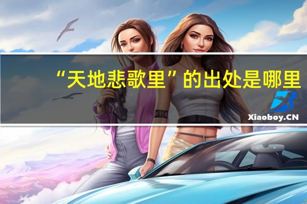 “天地悲歌里”的出处是哪里