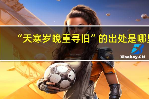 “天寒岁晚重寻旧”的出处是哪里