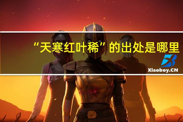 “天寒红叶稀”的出处是哪里