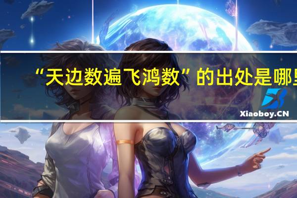 “天边数遍飞鸿数”的出处是哪里