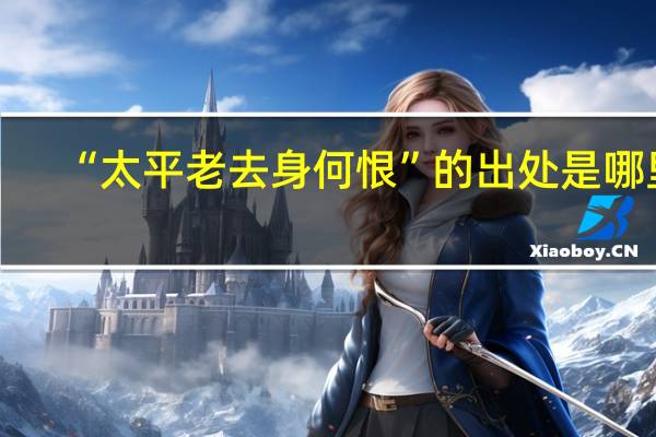 “太平老去身何恨”的出处是哪里