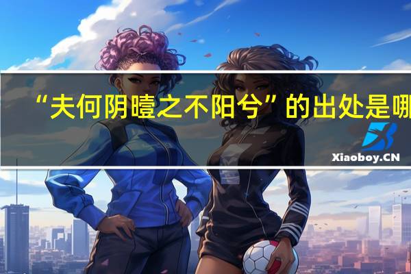 “夫何阴曀之不阳兮”的出处是哪里