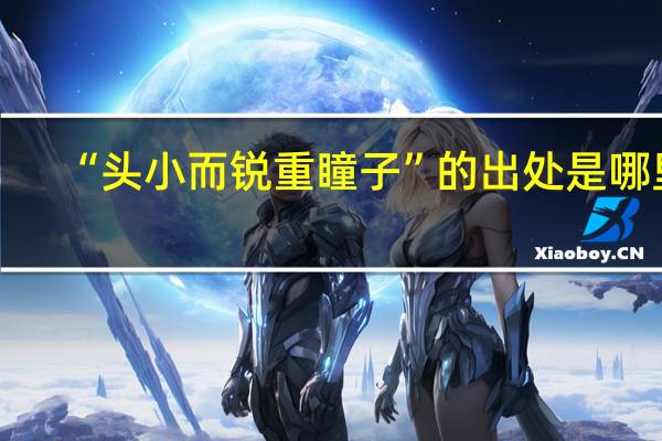“头小而锐重瞳子”的出处是哪里