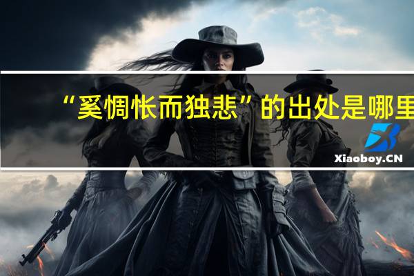 “奚惆怅而独悲”的出处是哪里