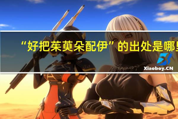 “好把茱萸朵配伊”的出处是哪里