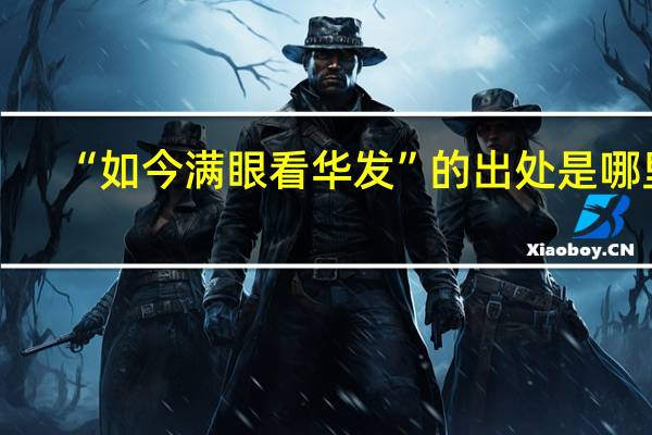 “如今满眼看华发”的出处是哪里
