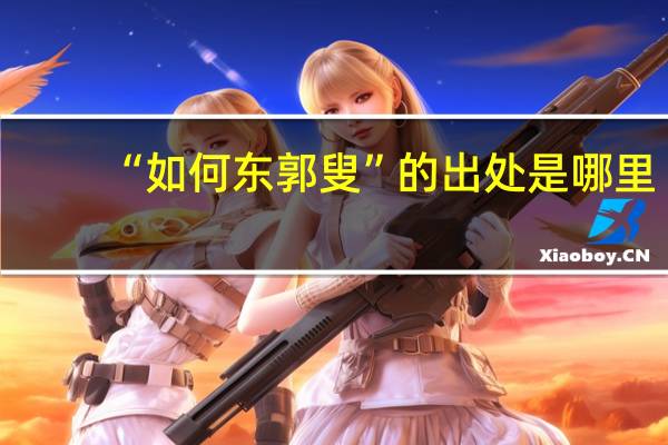 “如何东郭叟”的出处是哪里
