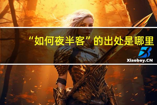 “如何夜半客”的出处是哪里