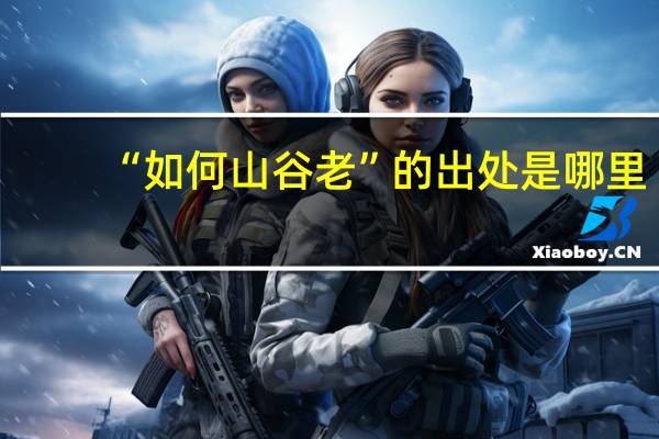 “如何山谷老”的出处是哪里