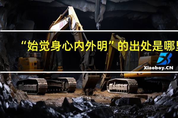 “始觉身心内外明”的出处是哪里