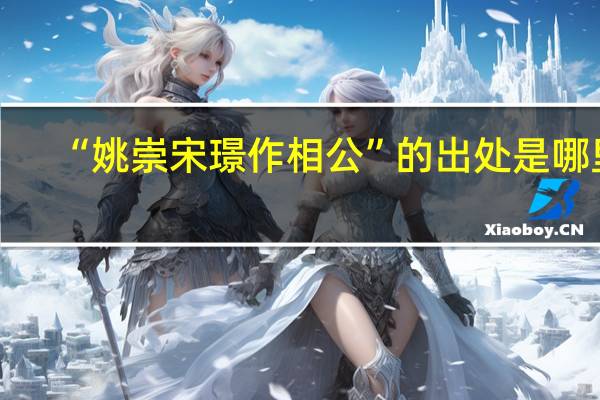 “姚崇宋璟作相公”的出处是哪里