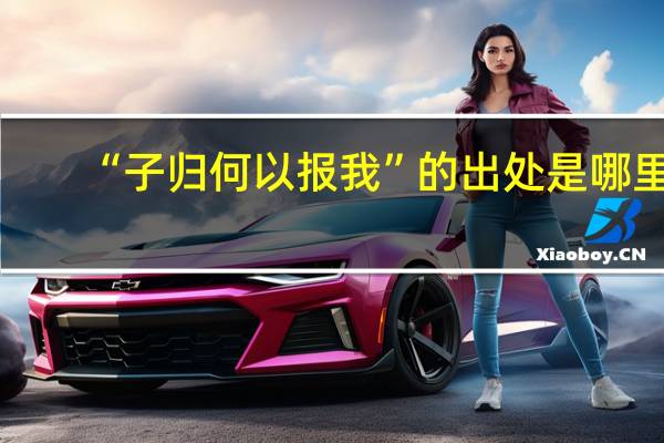 “子归何以报我”的出处是哪里