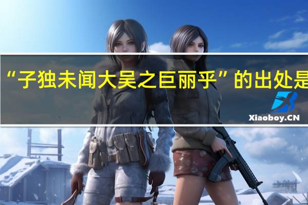“子独未闻大吴之巨丽乎”的出处是哪里