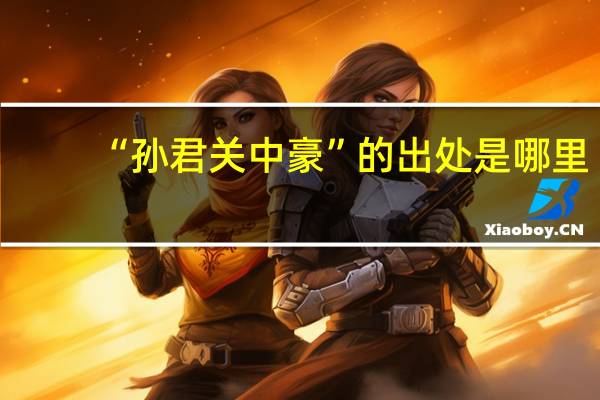 “孙君关中豪”的出处是哪里