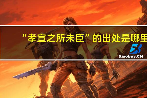 “孝宣之所未臣”的出处是哪里