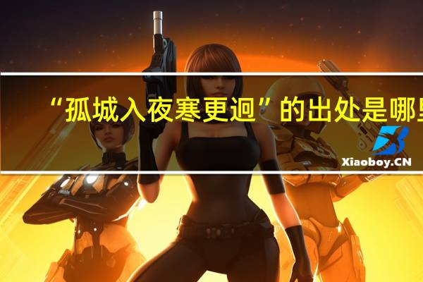 “孤城入夜寒更迥”的出处是哪里
