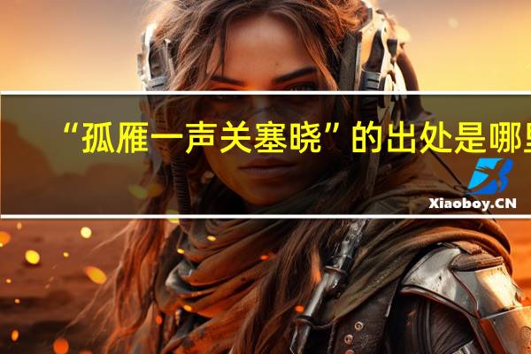 “孤雁一声关塞晓”的出处是哪里