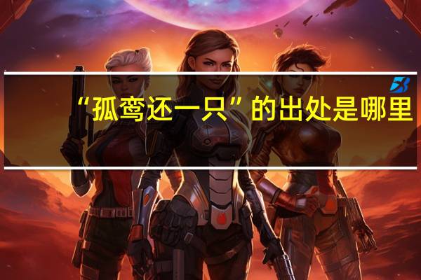 “孤鸾还一只”的出处是哪里