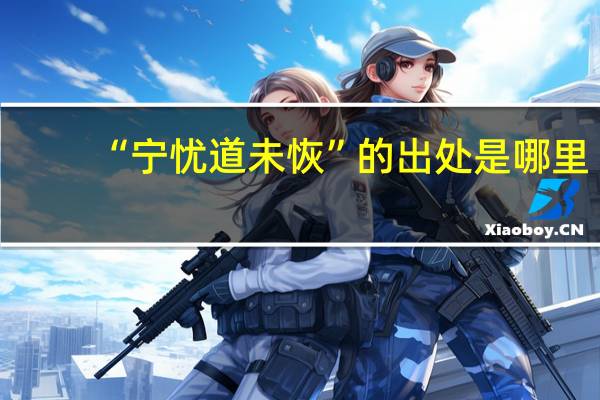 “宁忧道未恢”的出处是哪里
