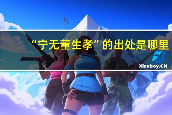 “宁无董生孝”的出处是哪里