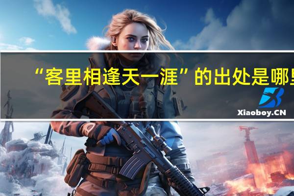 “客里相逢天一涯”的出处是哪里