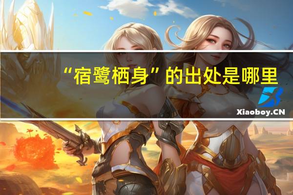 “宿鹭栖身”的出处是哪里