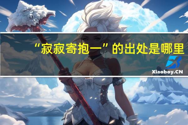 “寂寂寄抱一”的出处是哪里