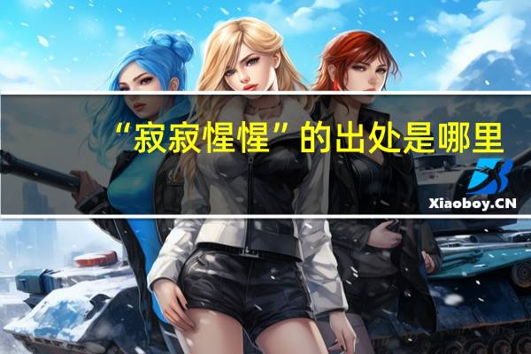 “寂寂惺惺”的出处是哪里