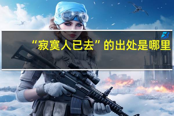 “寂寞人已去”的出处是哪里