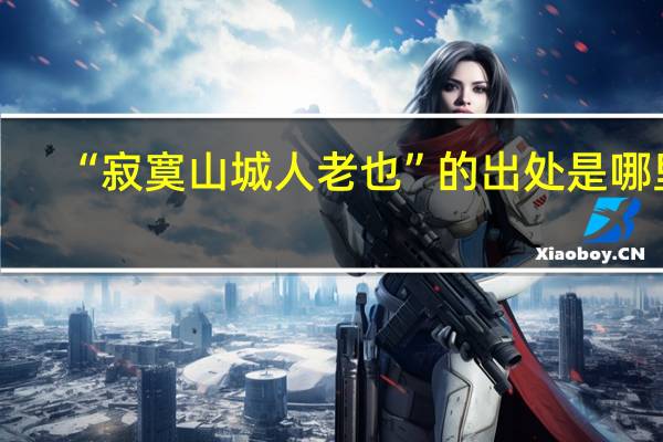 “寂寞山城人老也”的出处是哪里